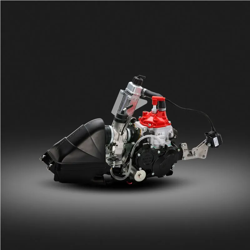 Rotax Max Engine