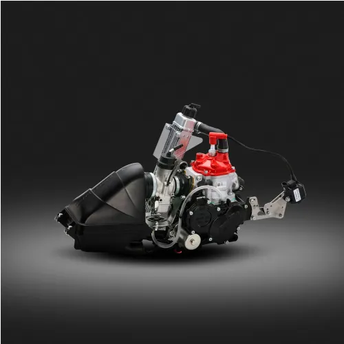 Rotax Max Engine